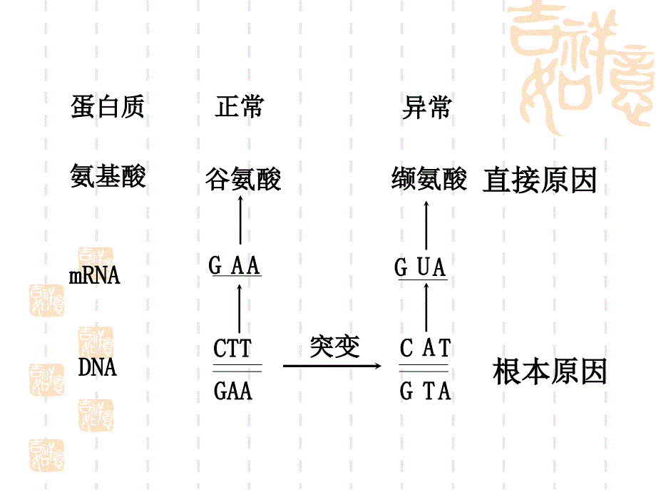 专题五异育种_第4页