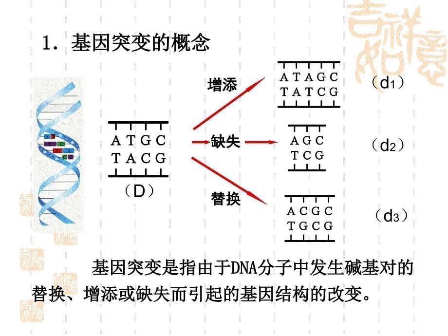 专题五异育种_第5页