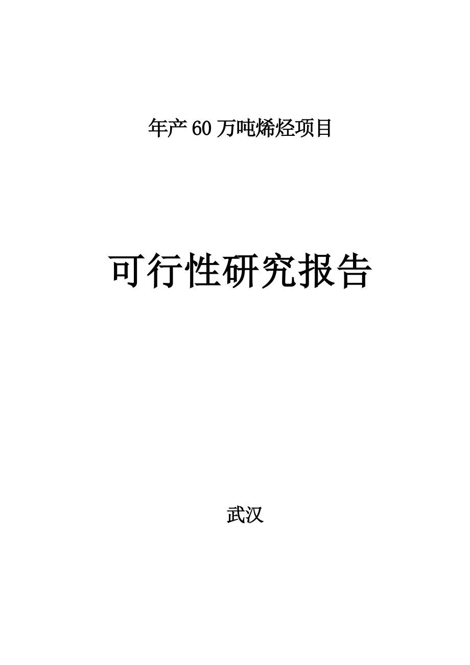 某省新能源开发有限公司年产60万吨烯烃包括聚乙烯-聚丙烯-丁烯项目可行性研究报告_第1页