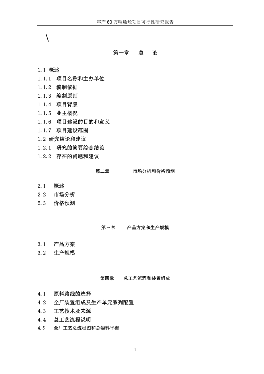 某省新能源开发有限公司年产60万吨烯烃包括聚乙烯-聚丙烯-丁烯项目可行性研究报告_第2页