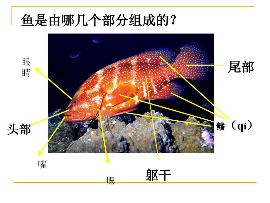 最新四年级上册美术课件－8水墨画鱼 ｜浙美版（2019秋）(共22张PPT)_第4页