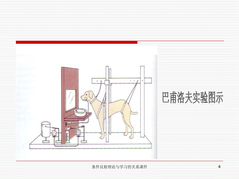 条件反射理论与学习的关系课件_第4页