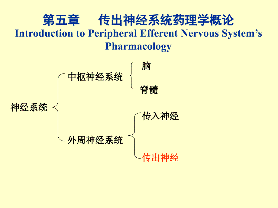 外周神经系统药理_第3页