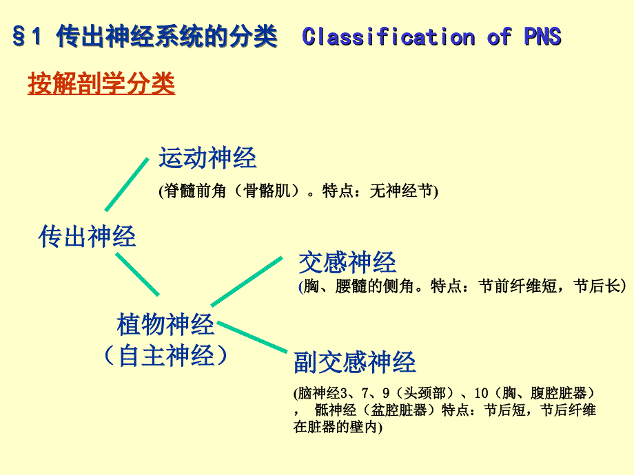 外周神经系统药理_第4页