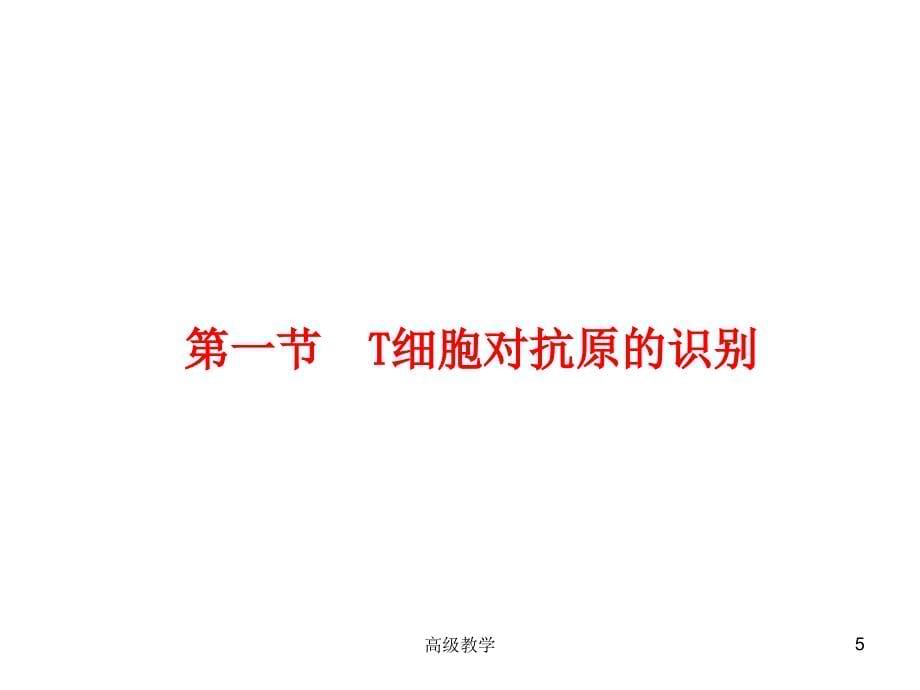 T细胞免疫应答【专业技术】_第5页