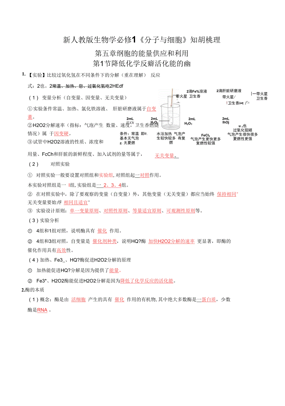 第5章-细胞的能量供应和利用-【必背知识】(答案版).docx_第1页