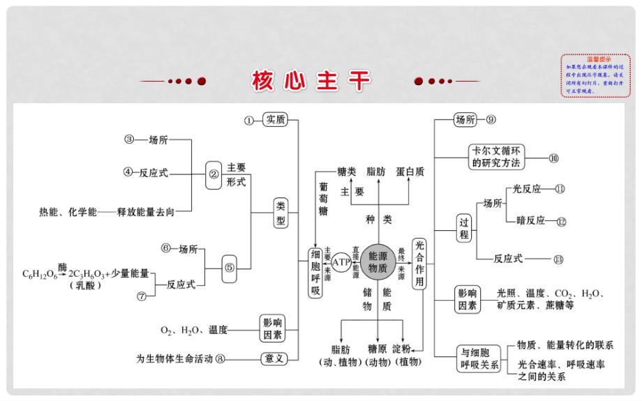 高三生物二轮复习 2.3 专题3 细胞呼吸与光合作用课件_第3页