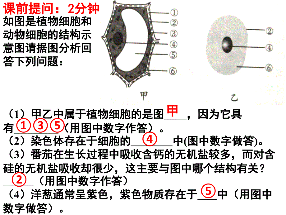 3.3 细胞通过分裂而增殖_第1页