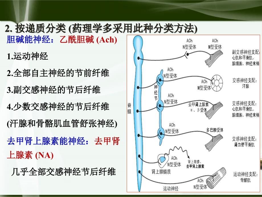 临床药学PPT课件1_第3页