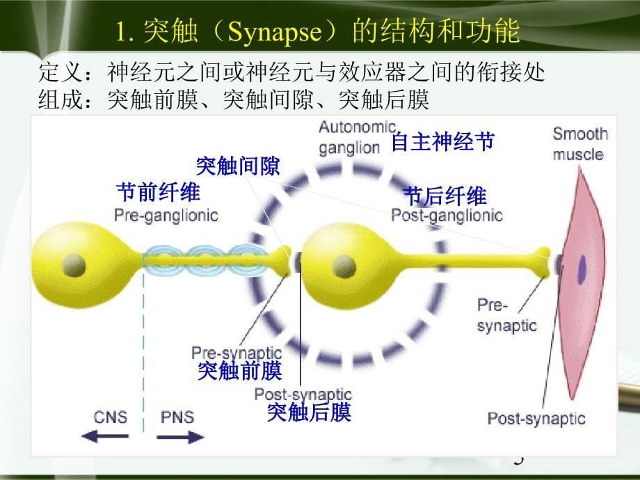 临床药学PPT课件1_第5页