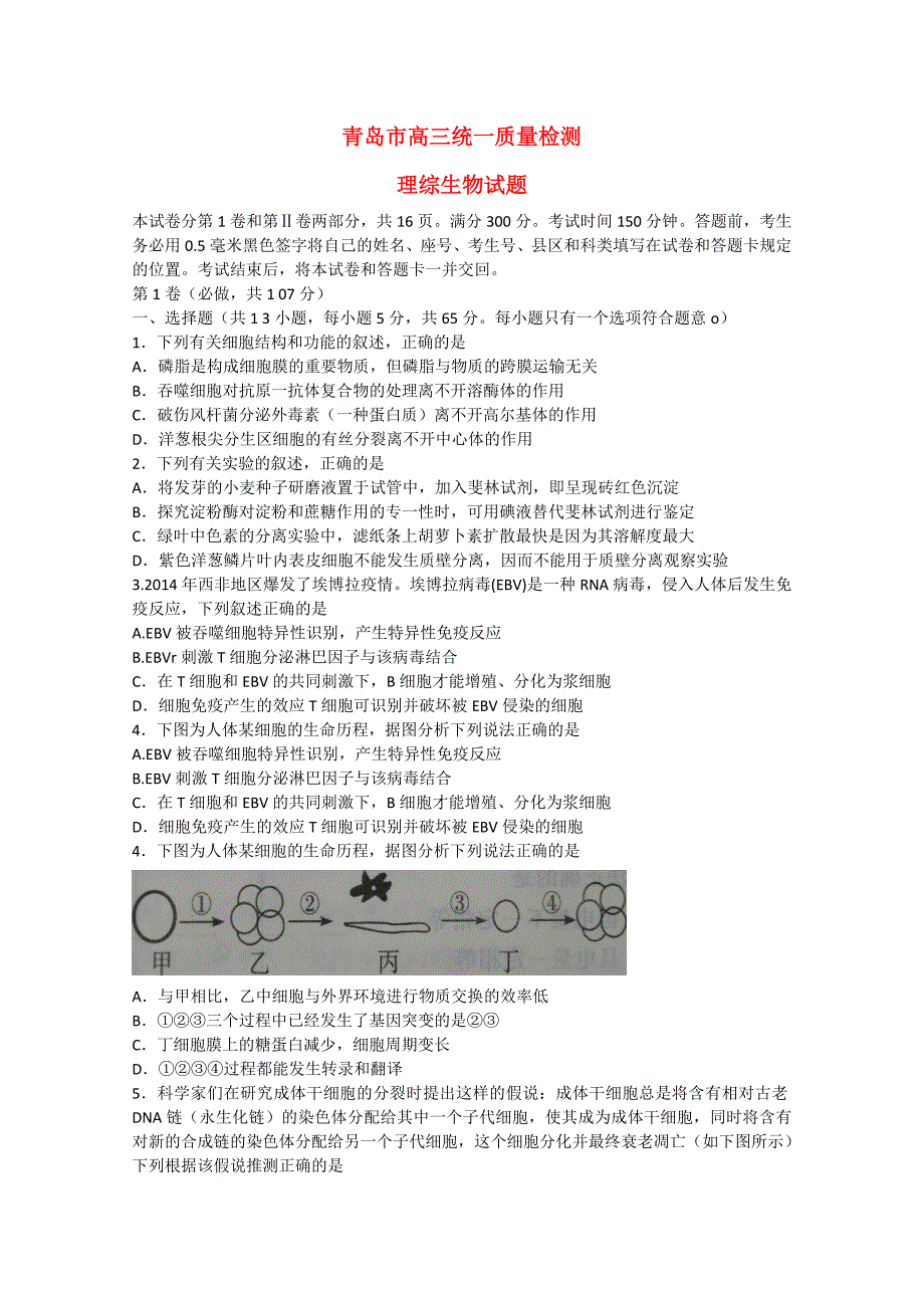 山东省青岛市2015年高三理综（生物部分）统一质量检测试题_第1页