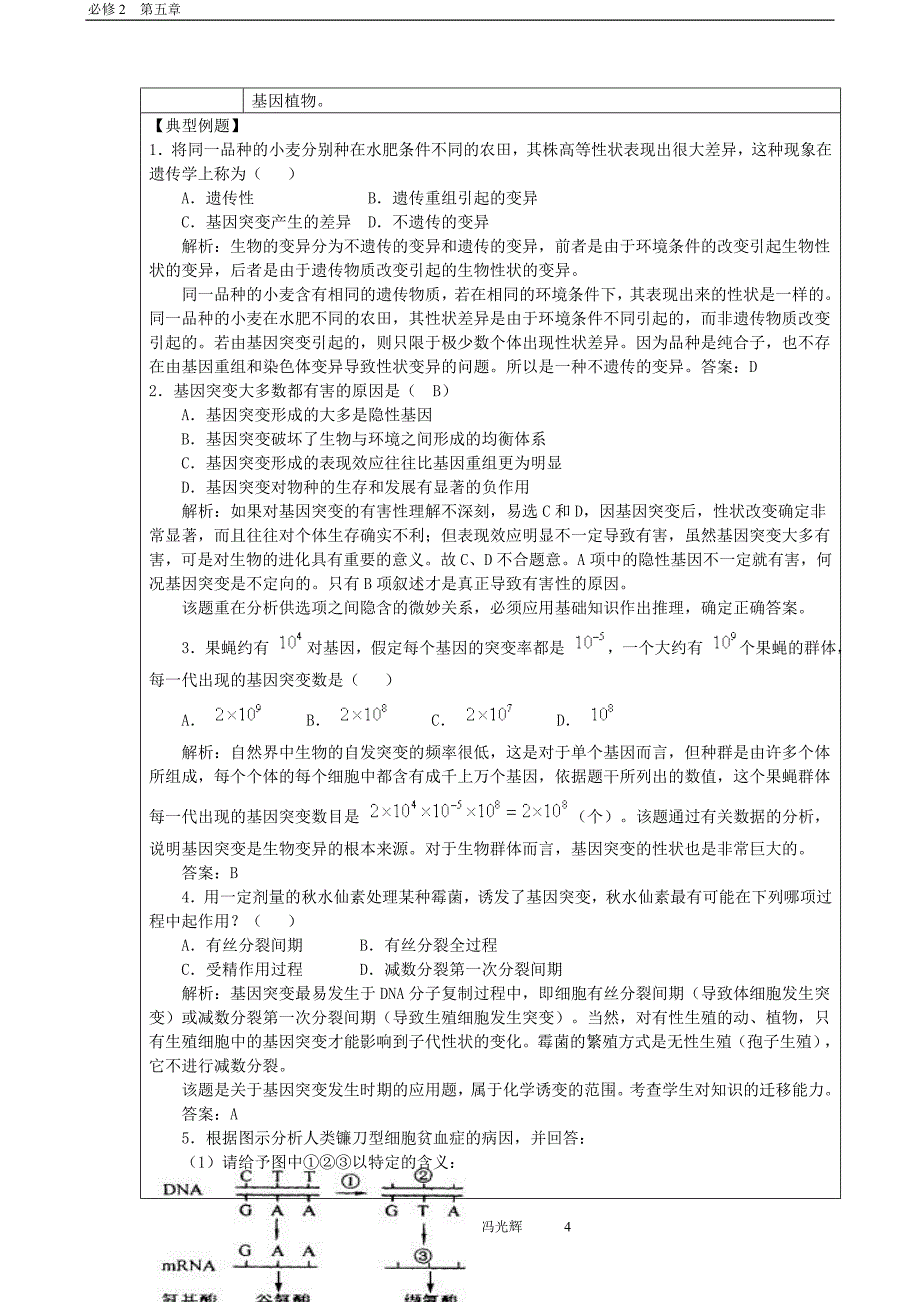 第五章基因突变及其他变异第1节基因突变和基因重组_第4页