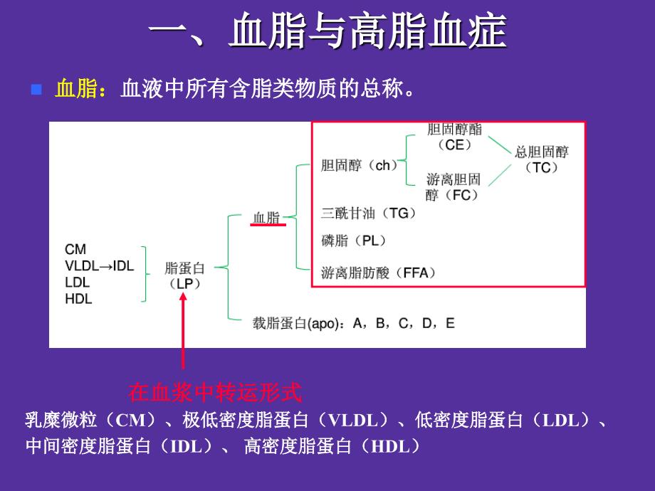 最新：复件 26章 调血脂药课件文档资料_第1页