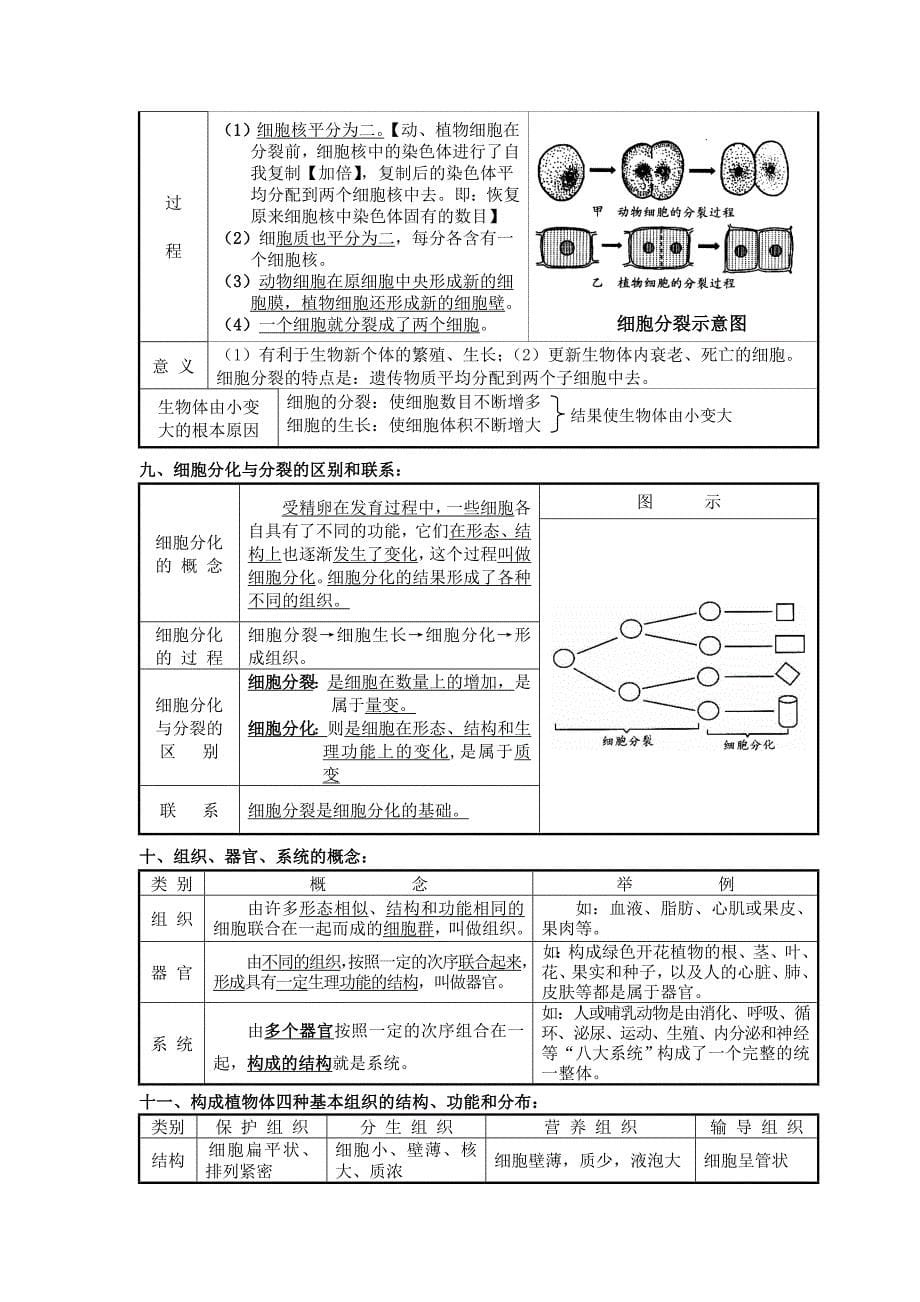 生物体的结构层次复习资料_第5页