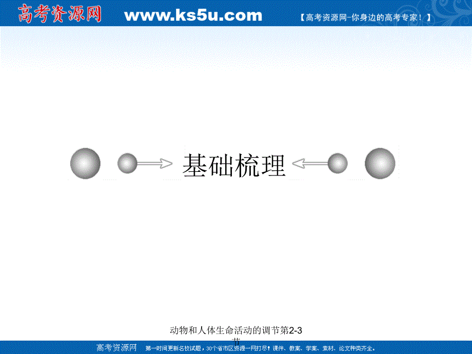 动物和人体生命活动的调节第23节课件_第4页