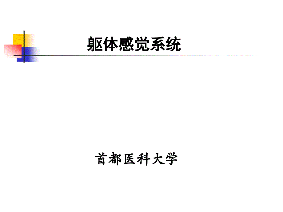 神经生物学：第四章 躯体感觉系统_第1页