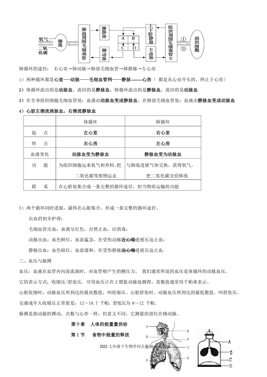 2023年七年级下生物知识点提纲-人教版_第4页