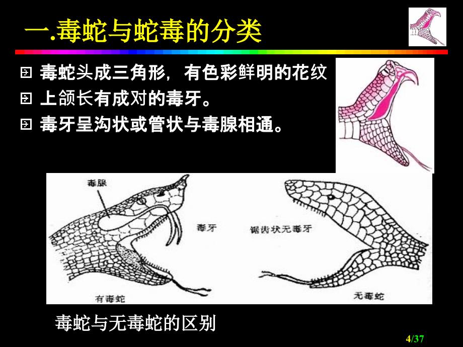 医药临床护理咬伤和螫伤ppt课件_第4页