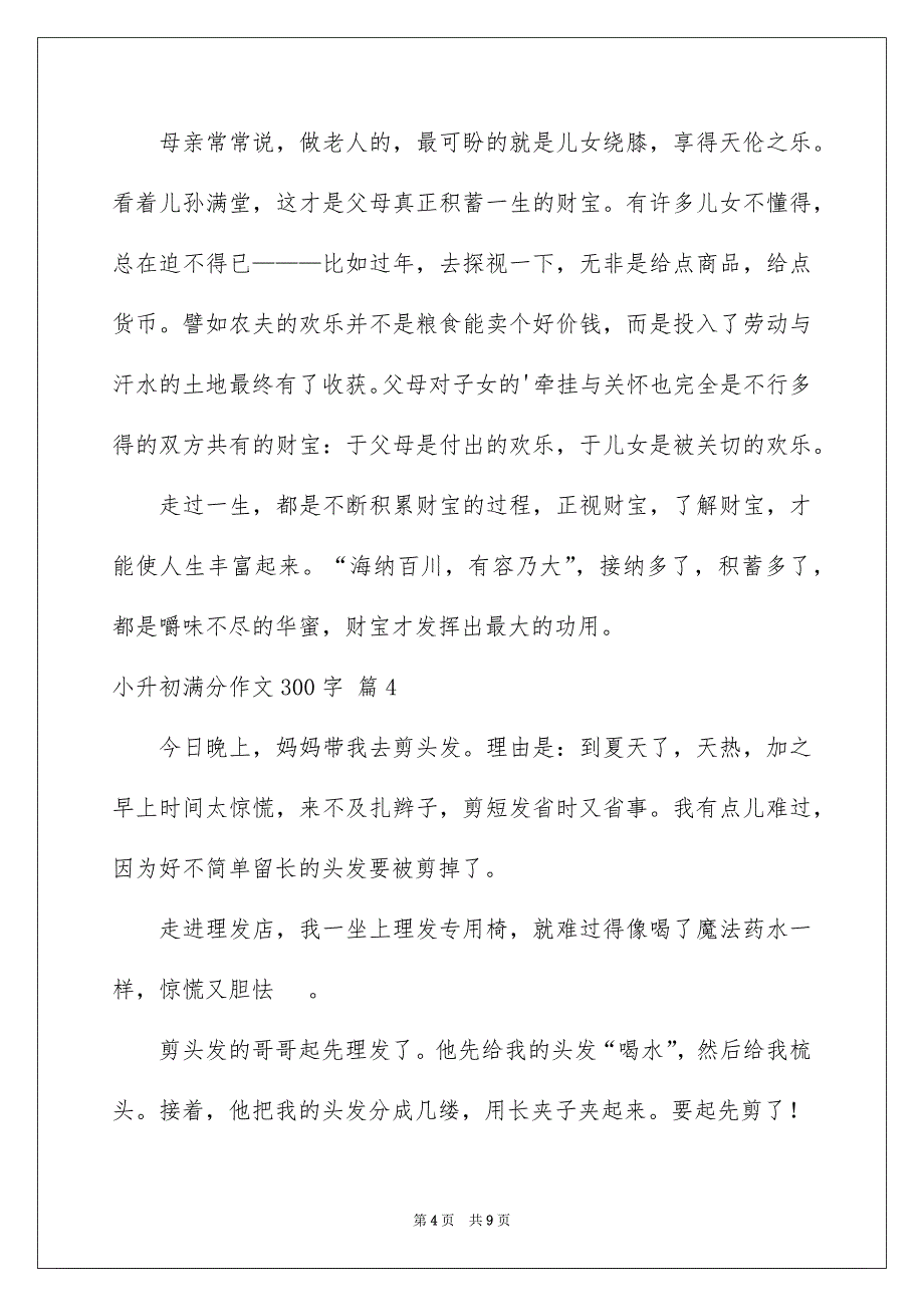 小升初满分作文300字汇编八篇_第4页