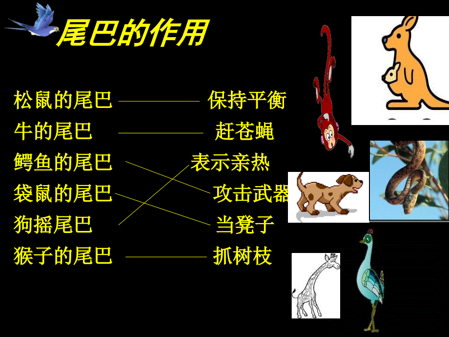 如果人类也有尾巴1_第2页