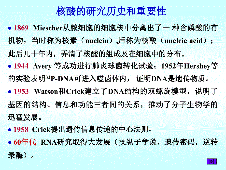 教学课件第二章核酸化学_第4页