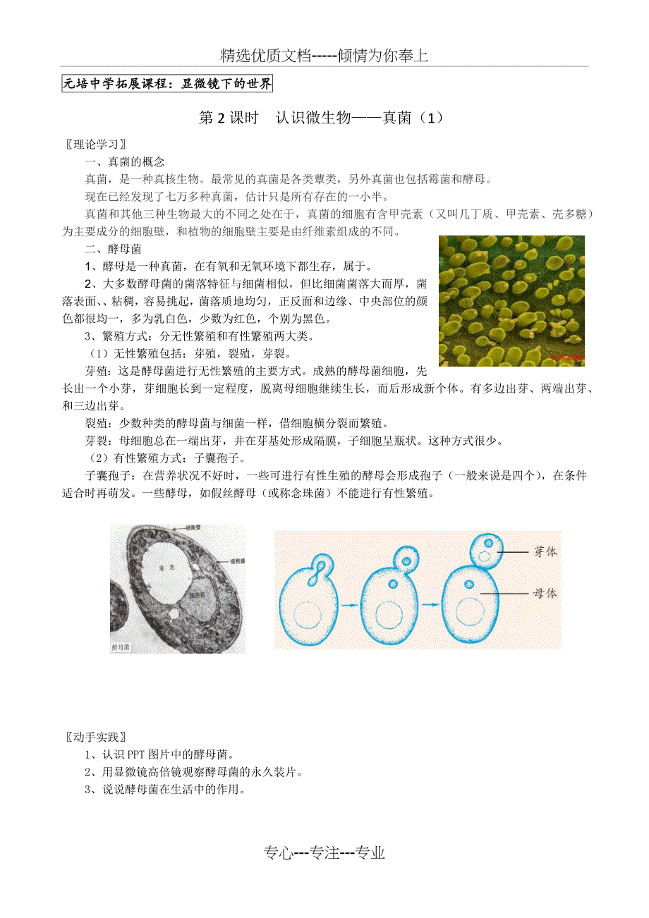 拓展课教案-(显微镜下的世界)_第2页