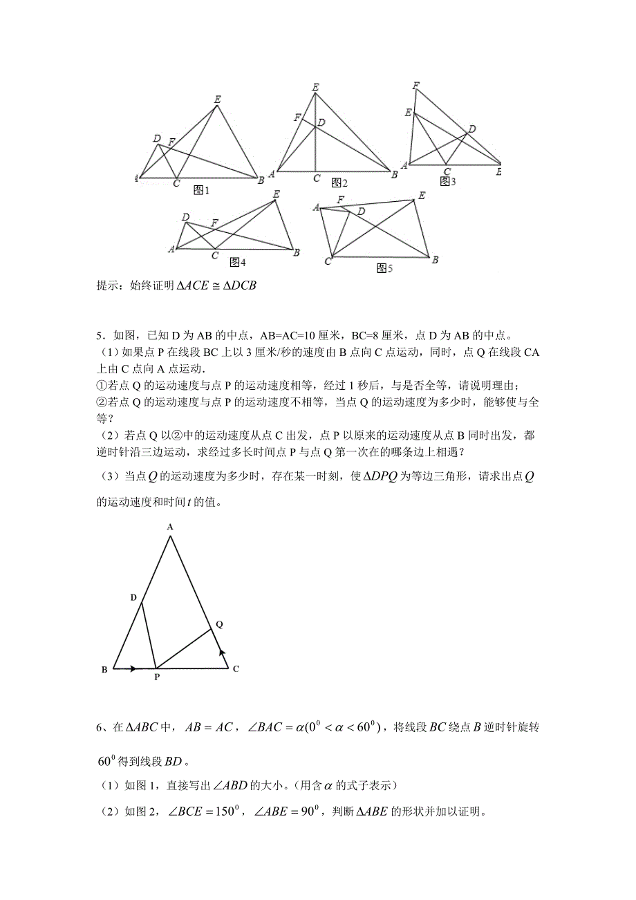 八年级数学上册压轴题专题练习_第3页