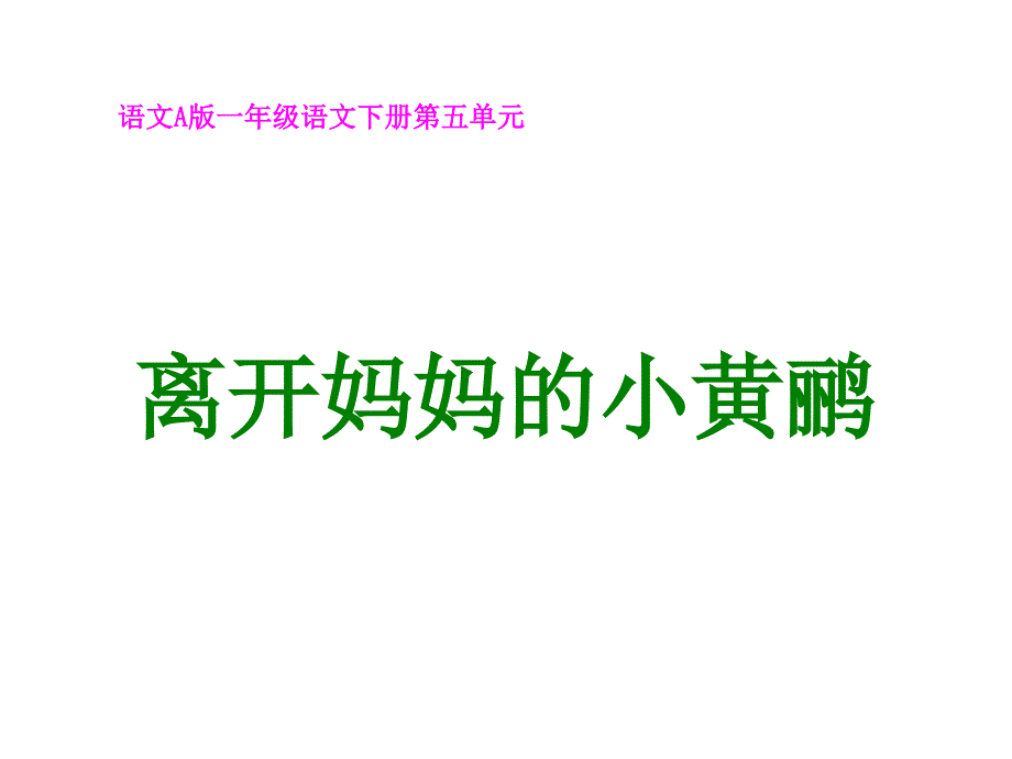 一年级下册语文课件－离开妈妈的小黄鹂｜语文A版 (共14张PPT)教学文档_第1页