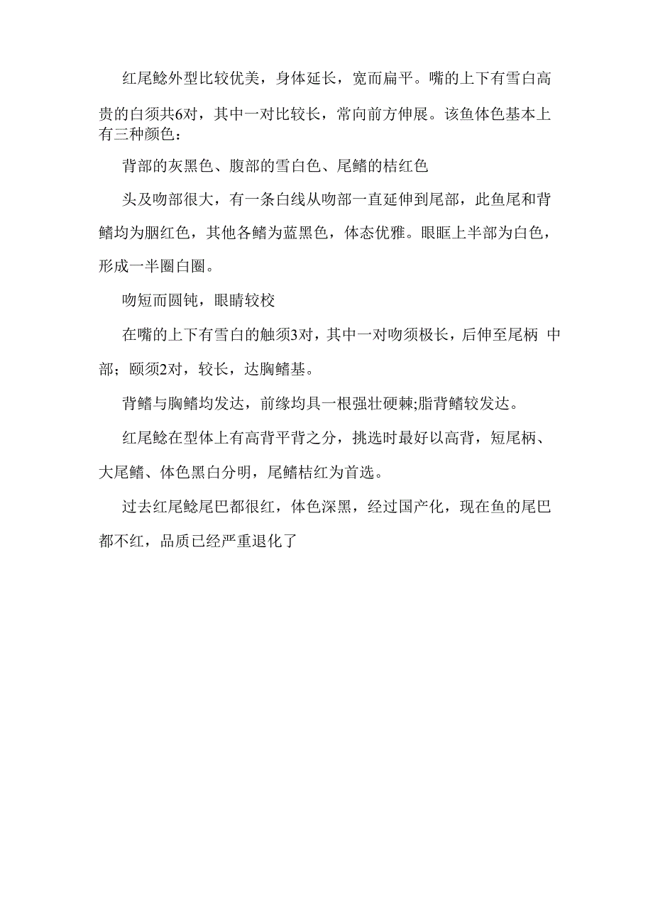 红尾鲶的简介-红尾鲶的体型特征_第2页