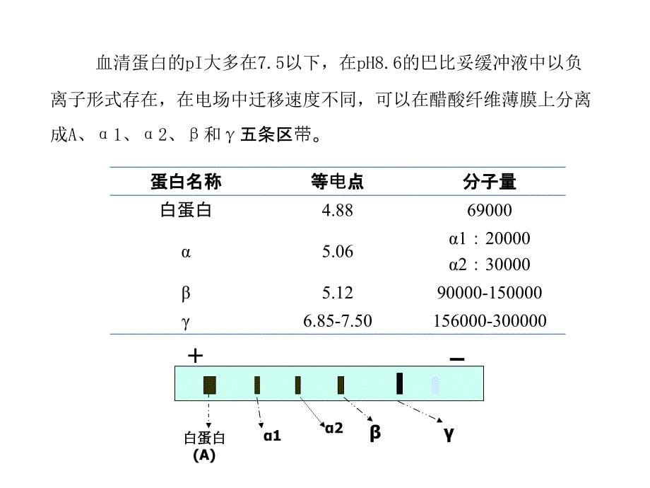 实验专题模块三血液生化检验ppt课件教案_第5页