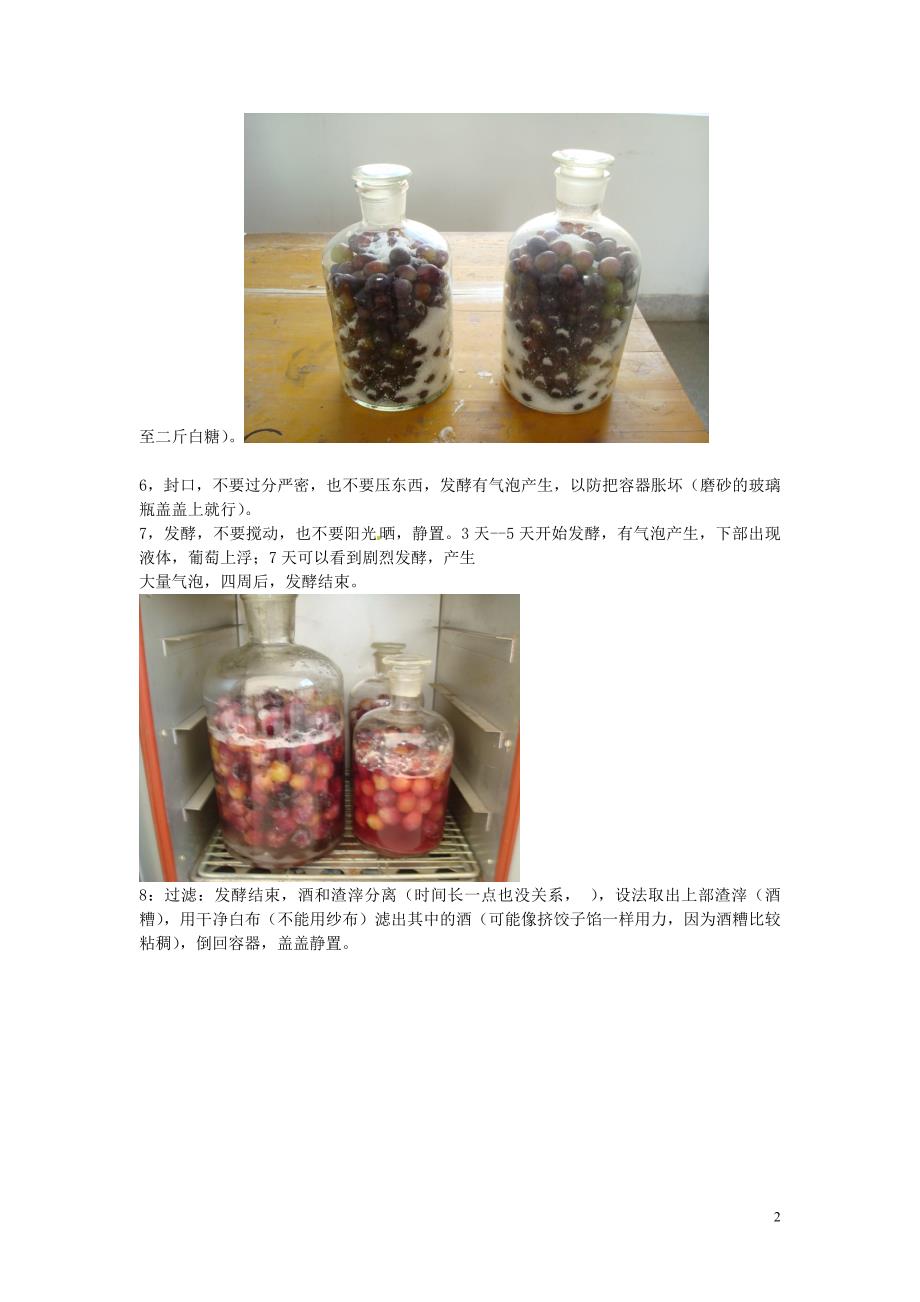 江西省信丰县黄泥中学中考生物实验汇总复习 食用葡萄酿酒教学设计.doc_第2页