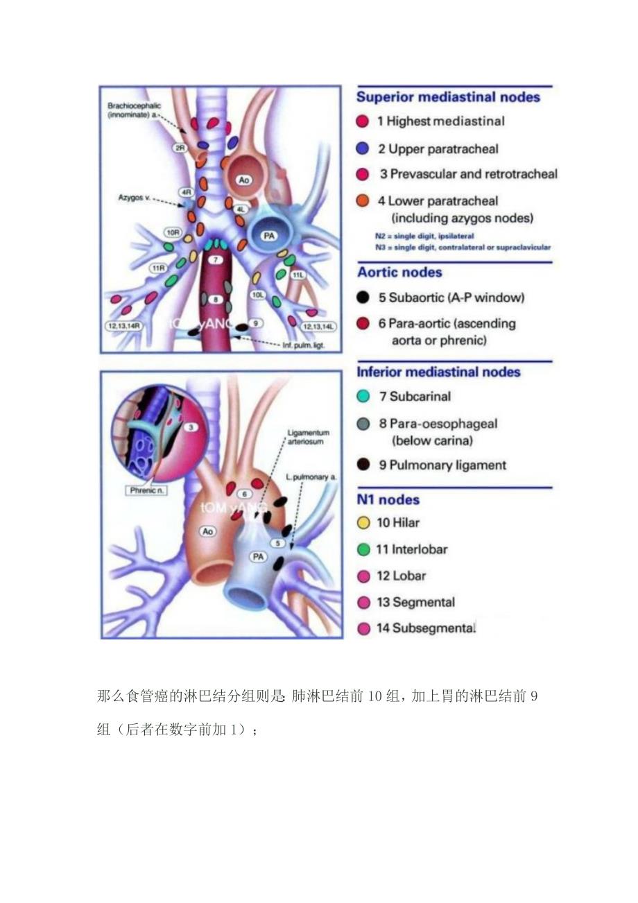 食管癌淋巴结分组_第2页