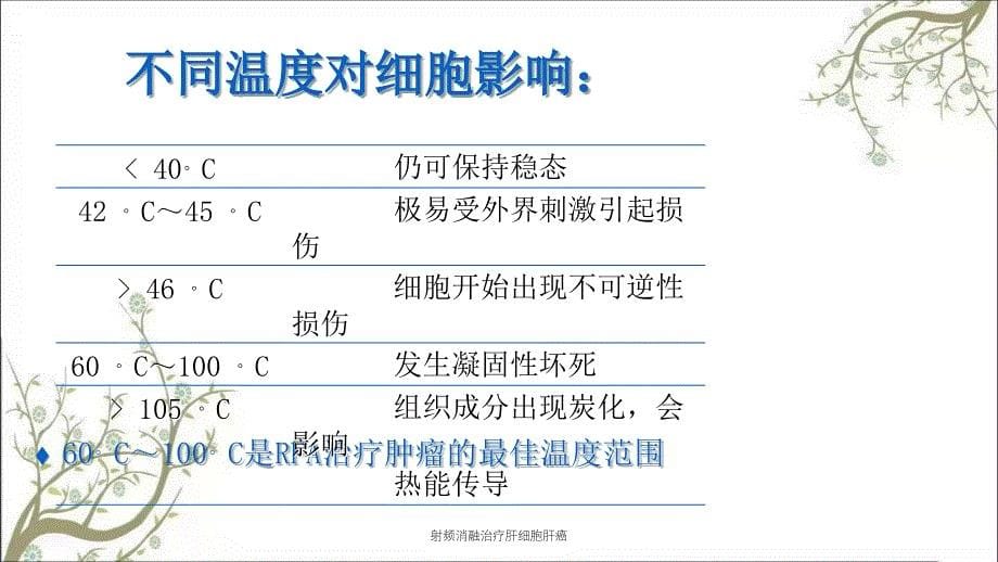 射频消融治疗肝细胞肝癌_第5页