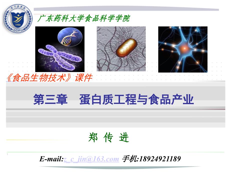 食品生物技术导论蛋白质工程与食品产业ppt课件_第1页