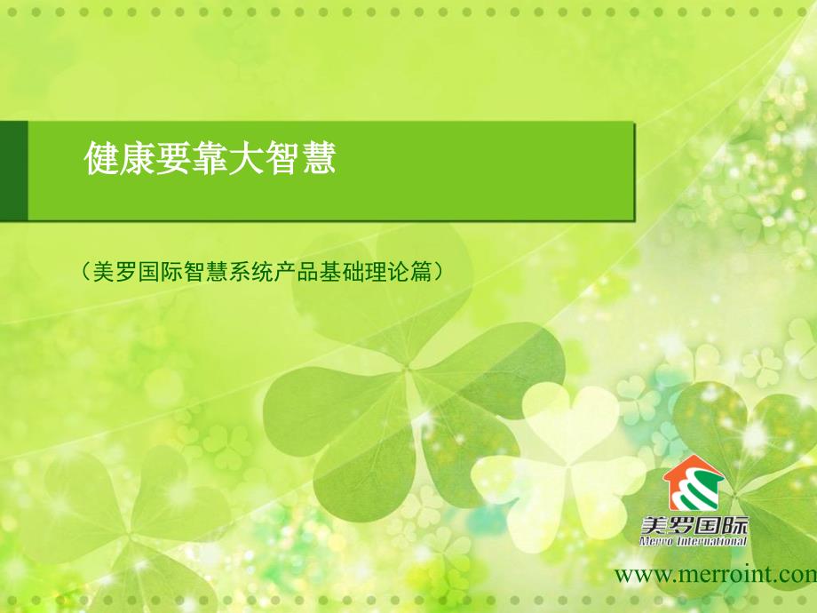 美罗国际产品介绍_第1页