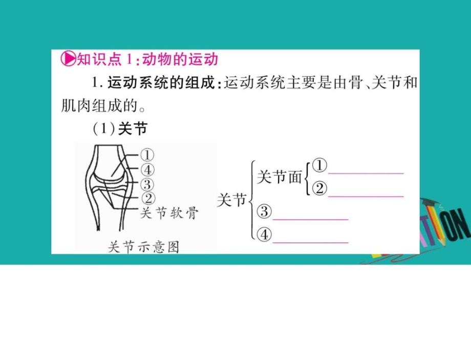 最新中考生物总复习教材考点梳理八上第5单元第23章课件._第2页