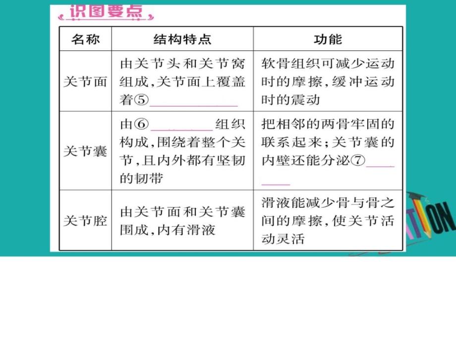 最新中考生物总复习教材考点梳理八上第5单元第23章课件._第3页