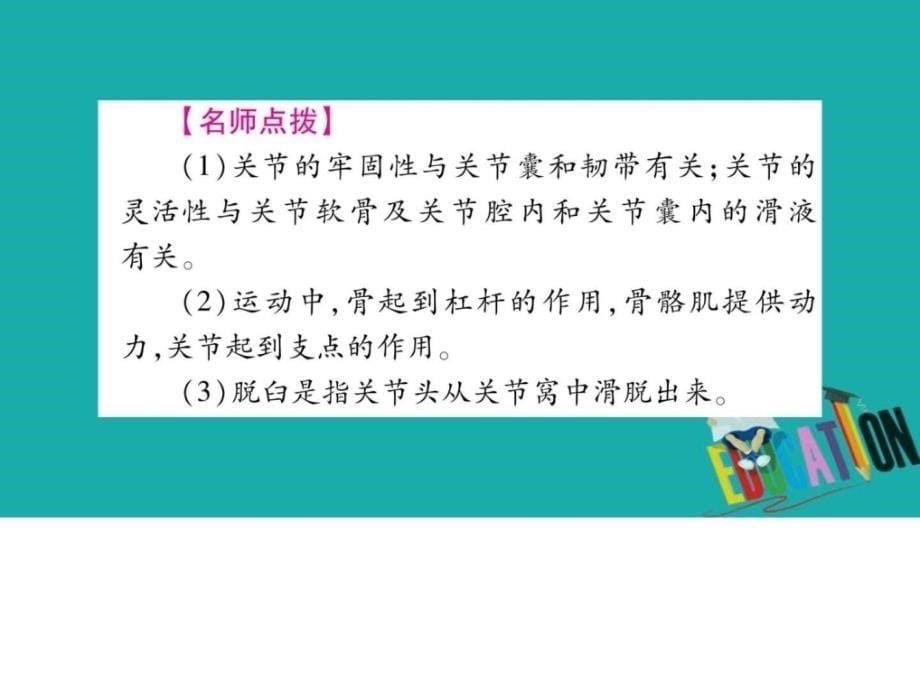 最新中考生物总复习教材考点梳理八上第5单元第23章课件._第5页