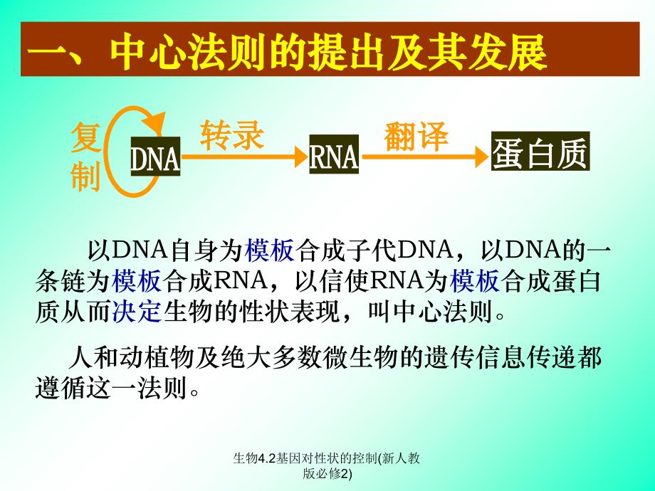 生物4.2基因对性状的控制新人教版必修2课件_第3页