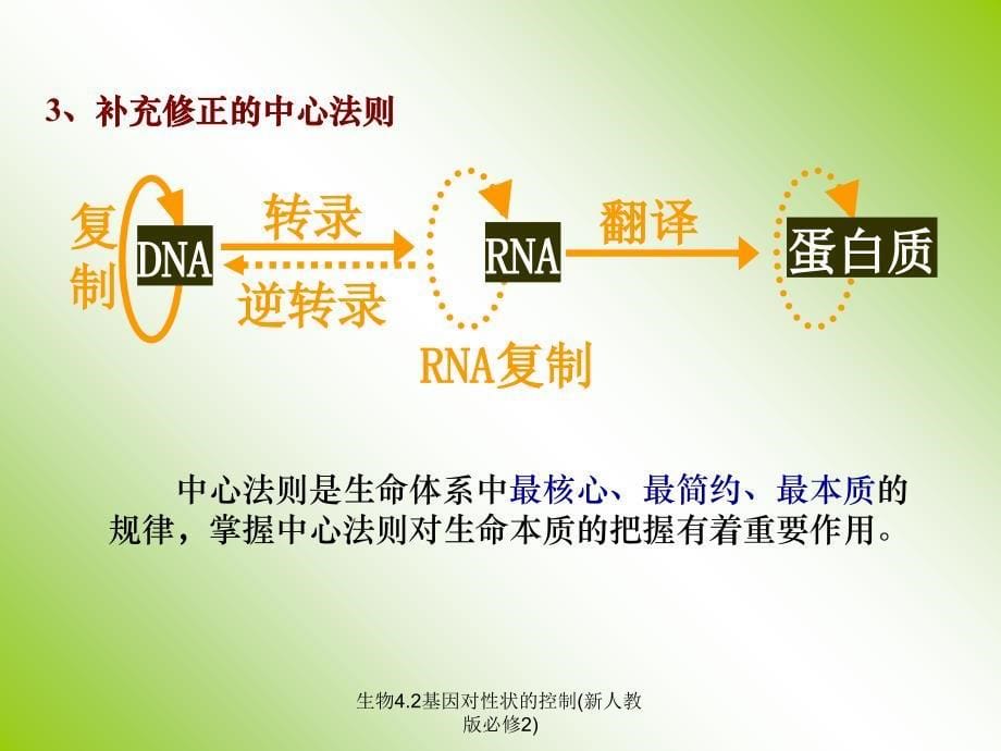 生物4.2基因对性状的控制新人教版必修2课件_第5页