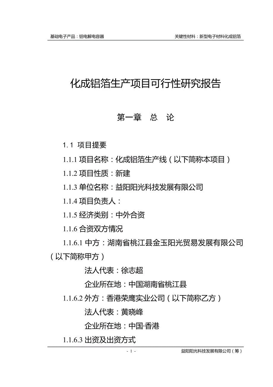 化成铝箔生产项目建设可行性研究报告.doc_第1页