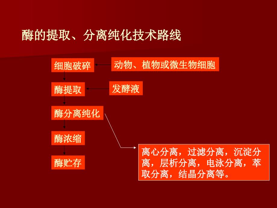 酶的分离与纯化注意事项_第2页