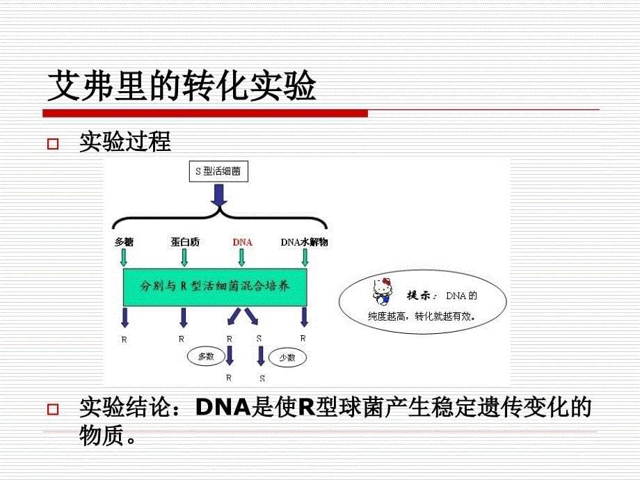 探索遗传物质的过程2_第5页