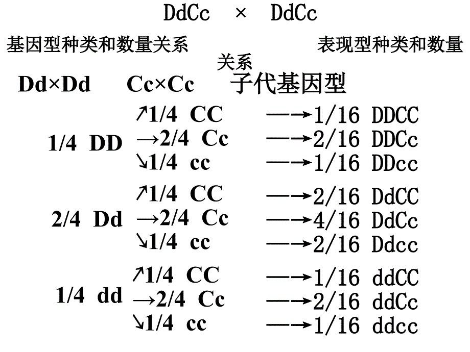 自由组合习题_第3页