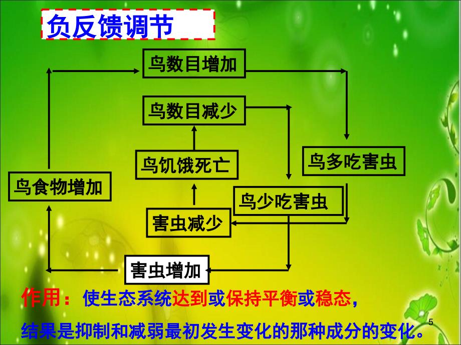 浙教版九年级下册科学2.5生态系统的稳定性_第5页