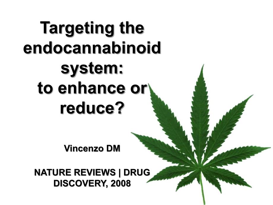 EndocannabinoidSystem内源性大麻素系统_第1页