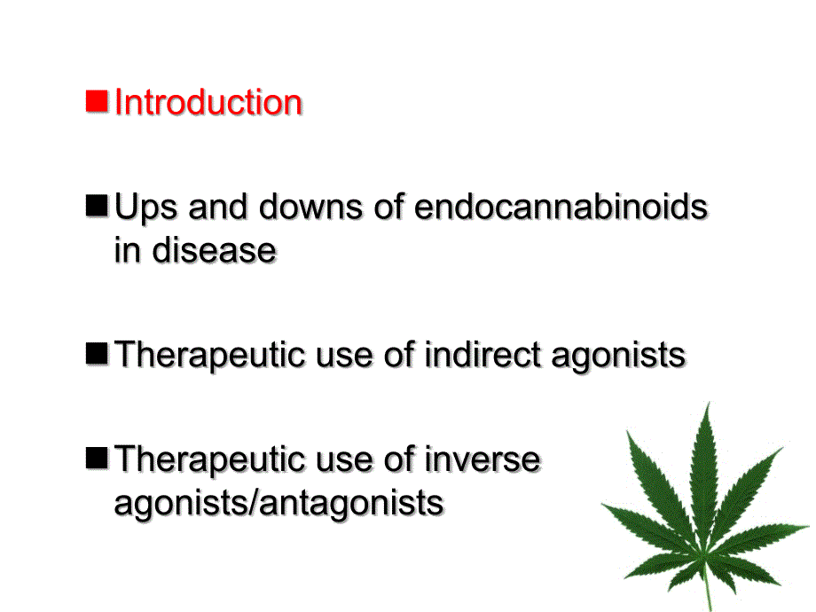 EndocannabinoidSystem内源性大麻素系统_第2页