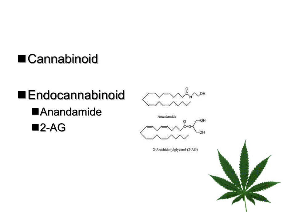 EndocannabinoidSystem内源性大麻素系统_第3页