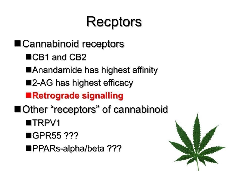 EndocannabinoidSystem内源性大麻素系统_第5页