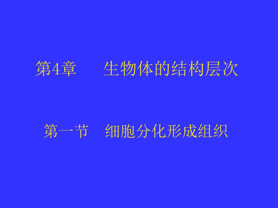 41细胞分化形成组织1_第1页